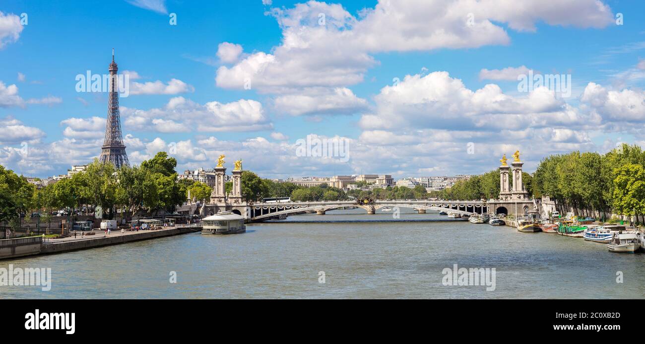Eiffelturm und Brücke Alexandre III Stockfoto