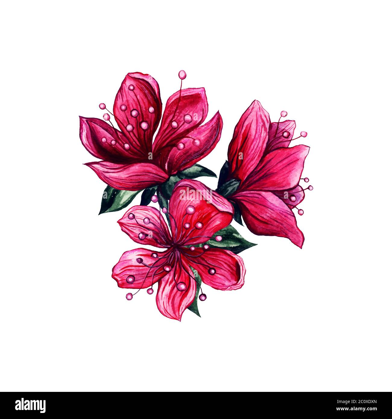 Pflaumenblüten Rosa Blumen, handgezeichnetes Aquarell asiatisches Vintage-Design. Isolierte japanische Pflaumen- oder chinesische Aprikosenblüten mit strukturierten Kronblättern und grünen Blättern, floraler Kunstdekoration Stock Vektor