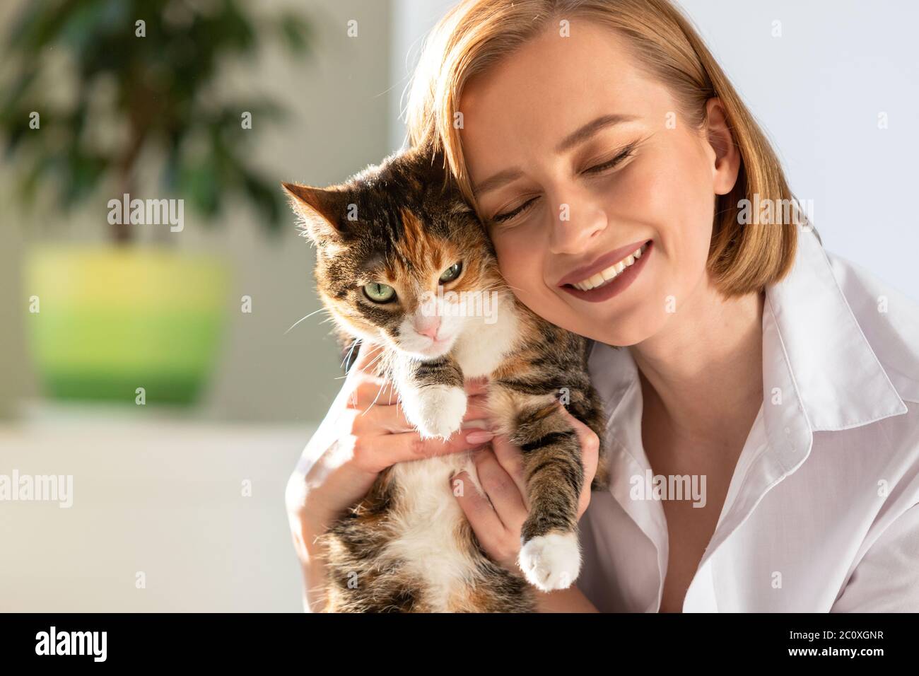 Nahaufnahme der lächelnden Frau in weißem Hemd umarmt und umarmt mit Zärtlichkeit und Liebe Hauskatze in zu Hause. Liebe zu den Tieren, Haustiere Konzept Stockfoto
