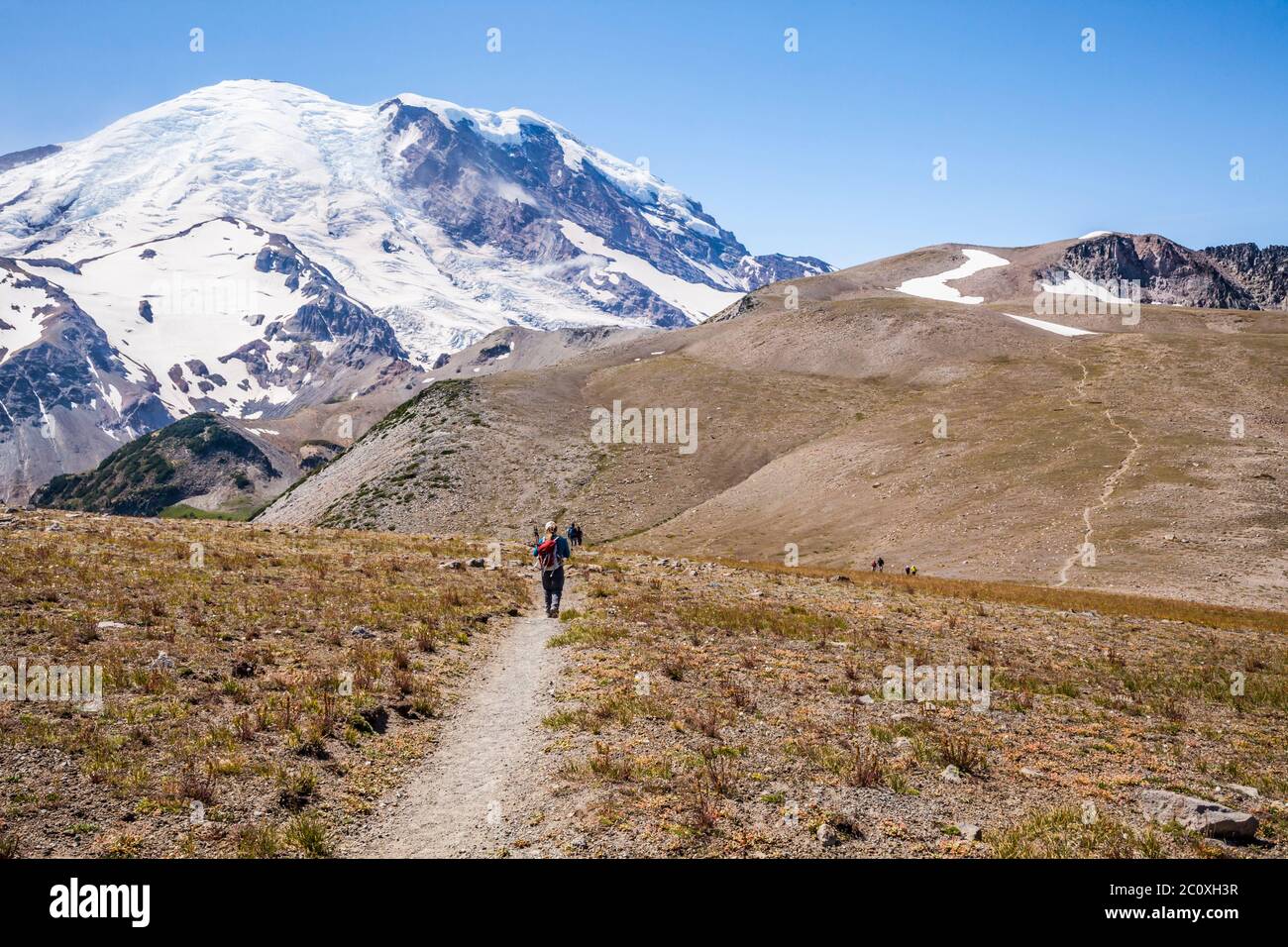 Menschen wandern vom 2. Burroughs Mountain zum 3. Burroughs Mountain, Rainier National Park, Washington, USA Stockfoto