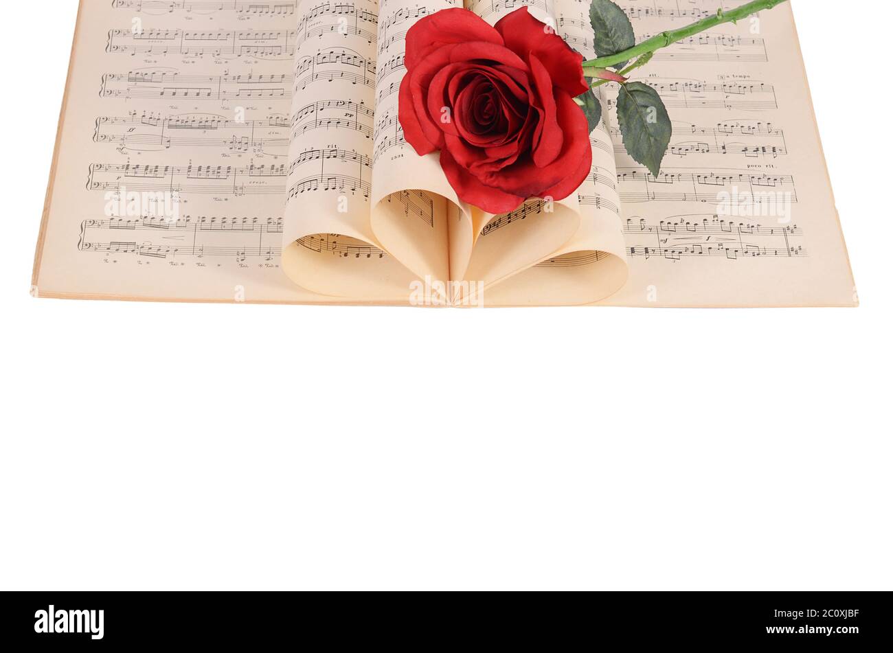 Die Rose auf Notebooks mit Noten Stockfoto