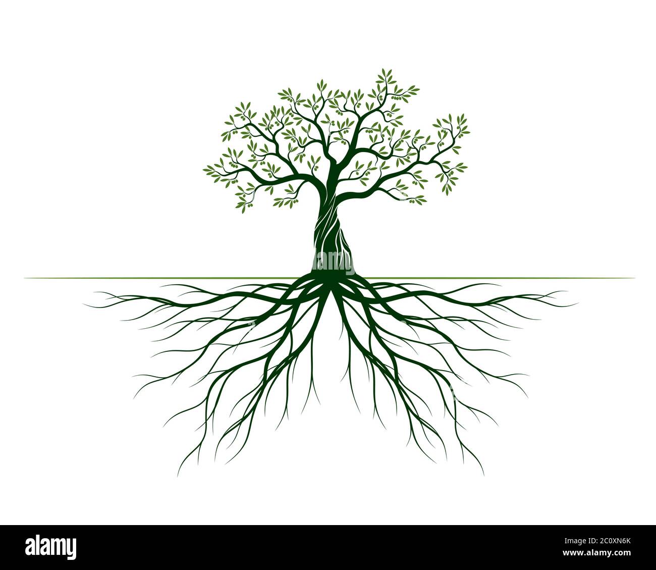 Grüner Baum mit Blättern und Wurzeln. Vektor Kontur Abbildung. Pflanze im Garten. Stockfoto