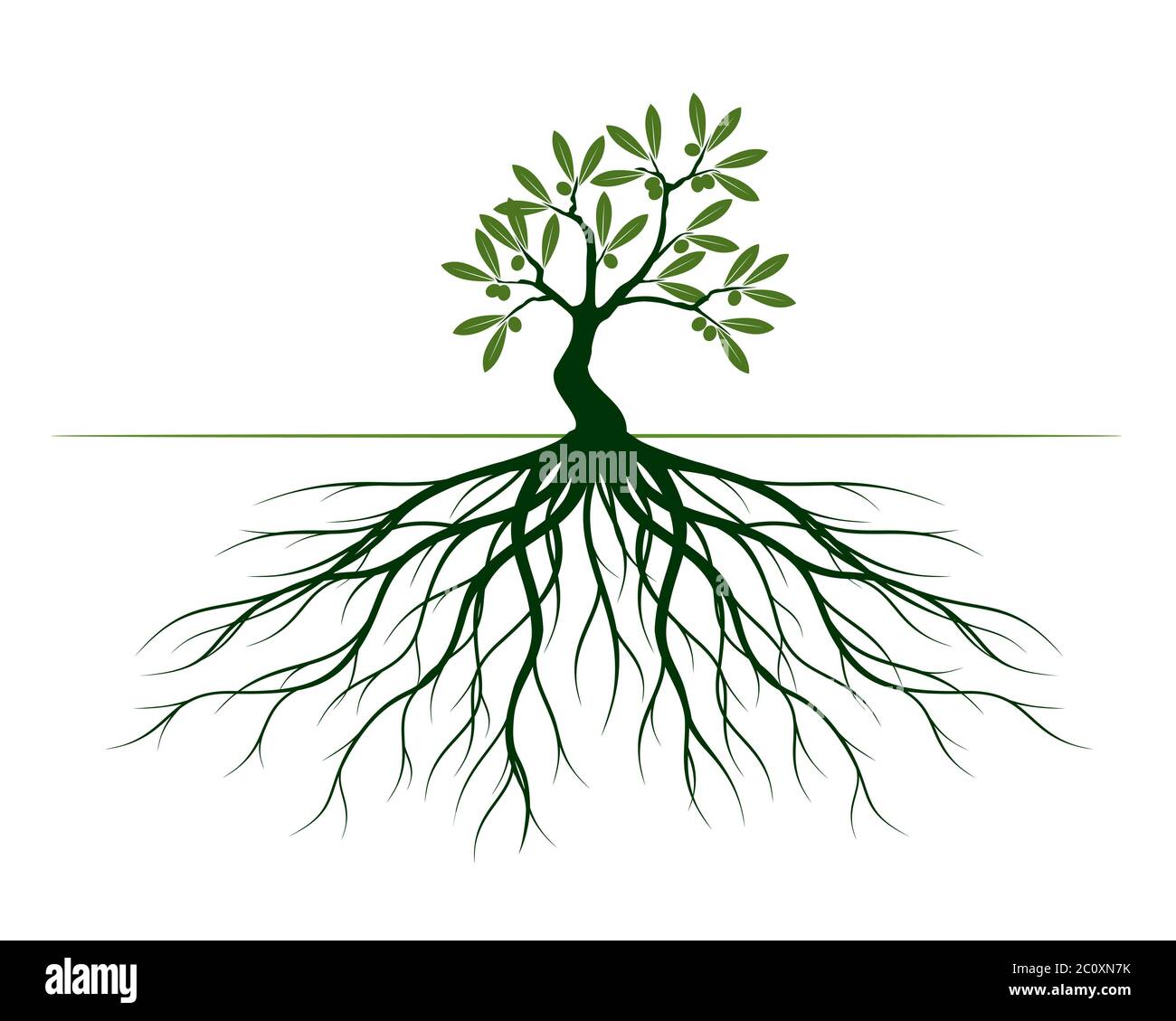 Grüner Baum mit Blättern und Wurzeln. Vektor Kontur Abbildung. Pflanze im Garten. Stockfoto