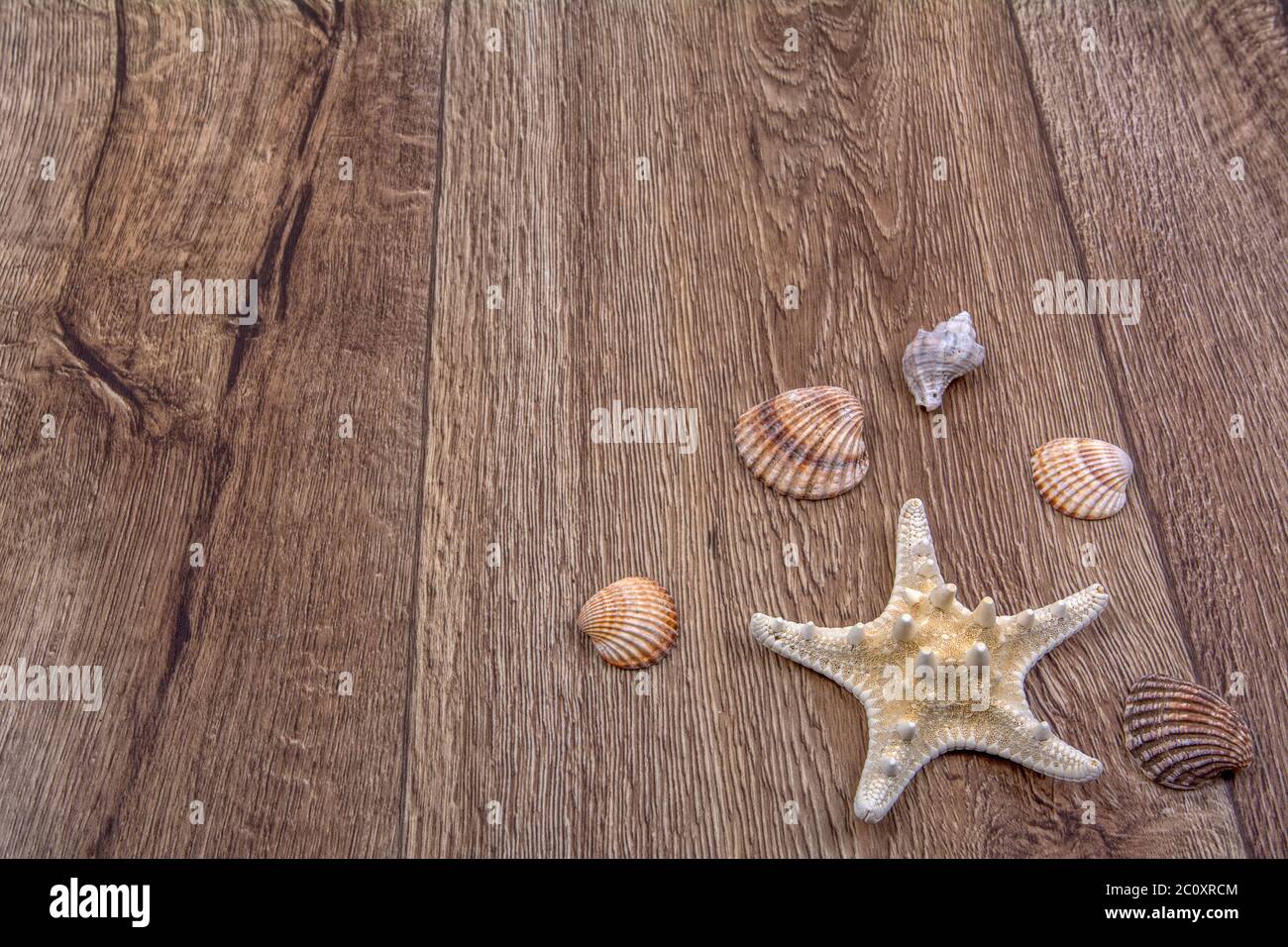 Seesterne und Muscheln auf einem hölzernen Hintergrund Stockfoto