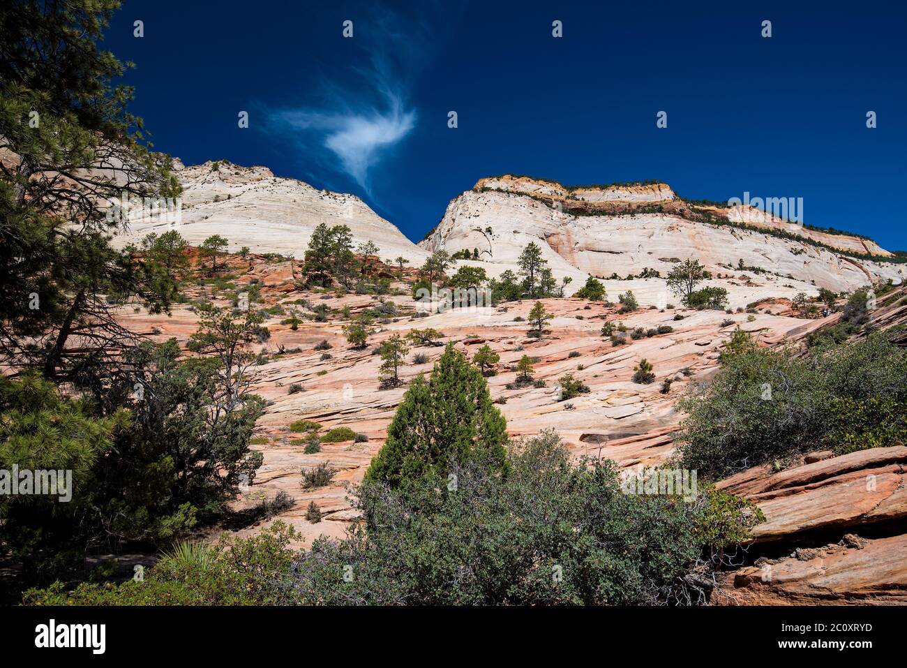 Landschaftlich schöne Bilder des Zions National Park vom Highway 9. Der Park ist in zwei Hauptbereiche unterteilt: Die landschaftlich reizvolle Schleife und Highway 9. Jede Gegend ist wunderschön. Stockfoto