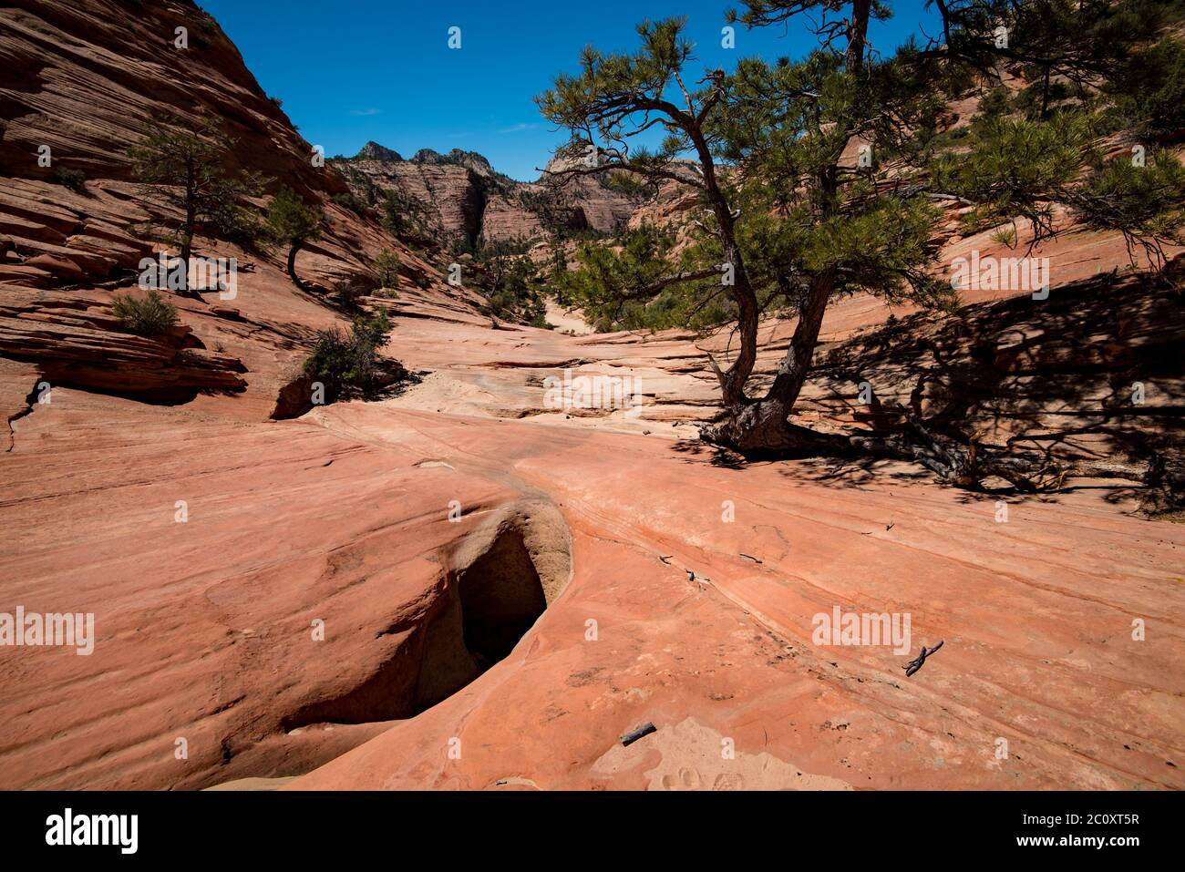 Landschaftlich schöne Bilder des Zions National Park vom Highway 9. Der Park ist in zwei Hauptbereiche unterteilt: Die landschaftlich reizvolle Schleife und Highway 9. Jede Gegend ist wunderschön. Stockfoto