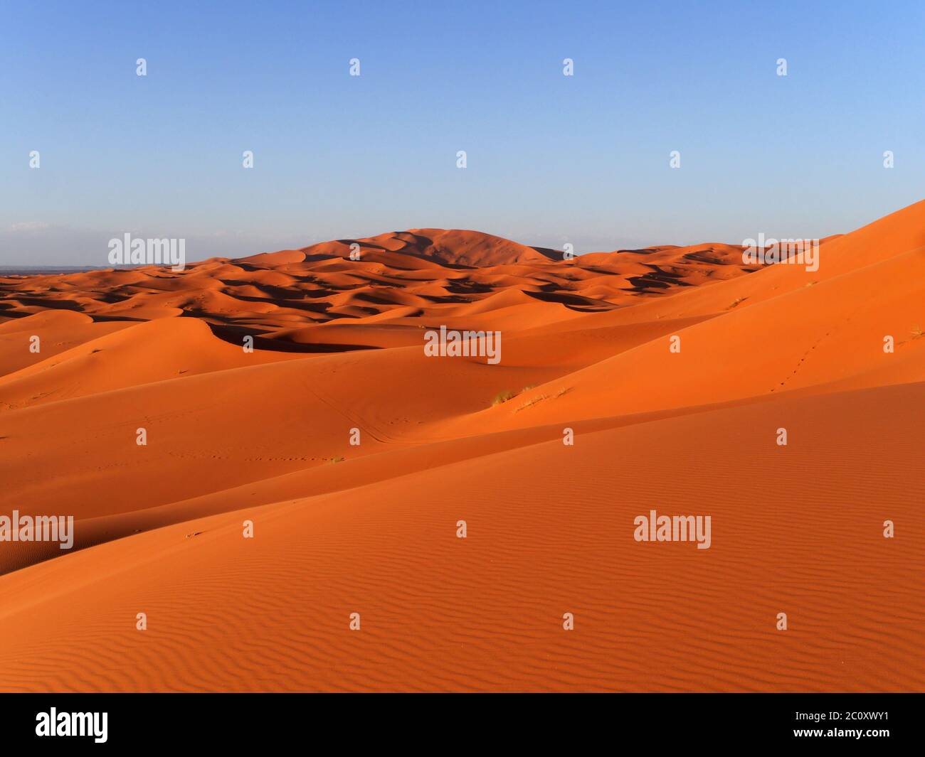 Sanddünen Erg Chebbi in Marokko Stockfoto