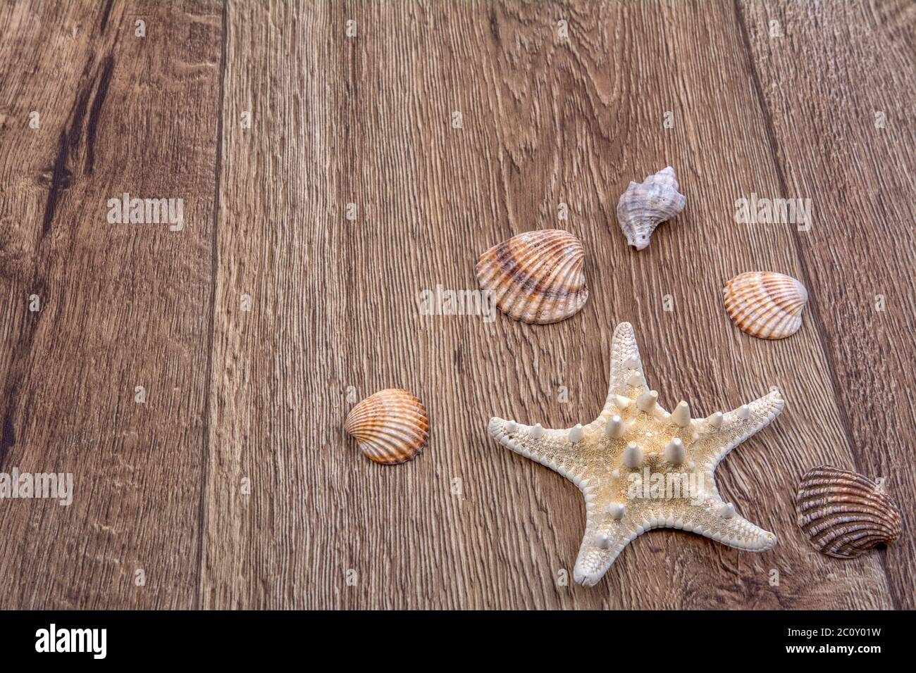 Seesterne und Muscheln auf einem Holzhintergrund Stockfoto