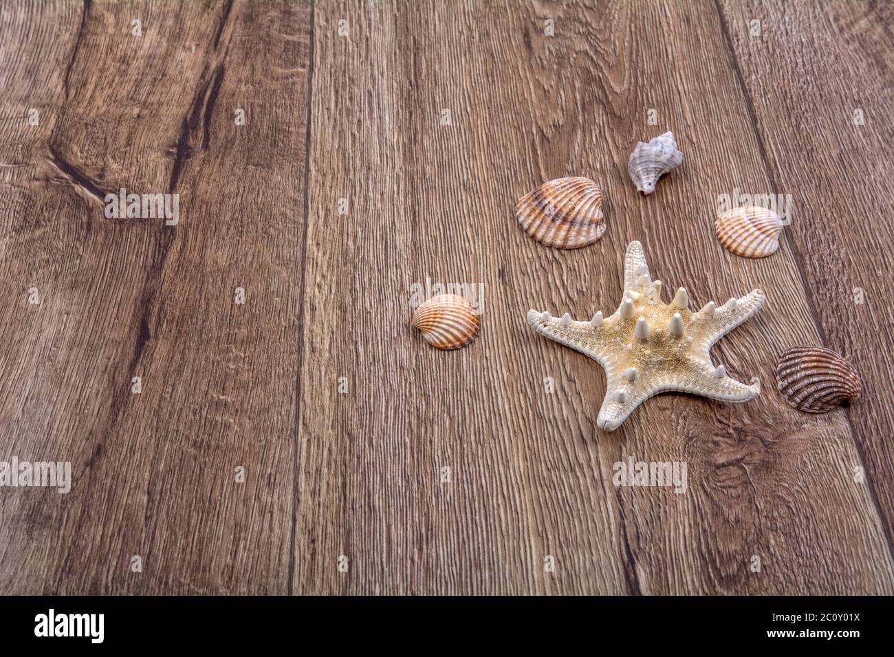 Seesterne und Muscheln auf einem Holzhintergrund Stockfoto