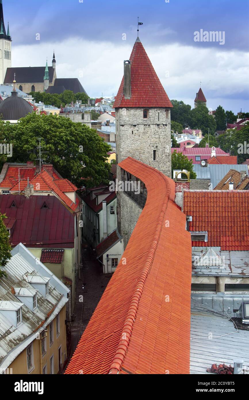 Straße und Turm einer Stadtmauer. Altstadt. Tallinn, Estland. Stockfoto