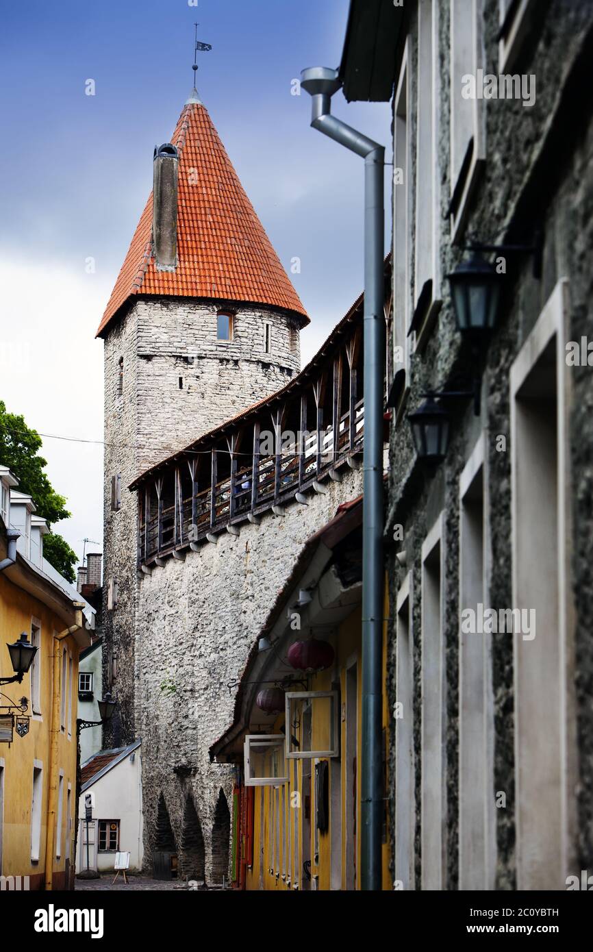 Straße und Turm einer Stadtmauer. Altstadt. Tallinn, Estland Stockfoto