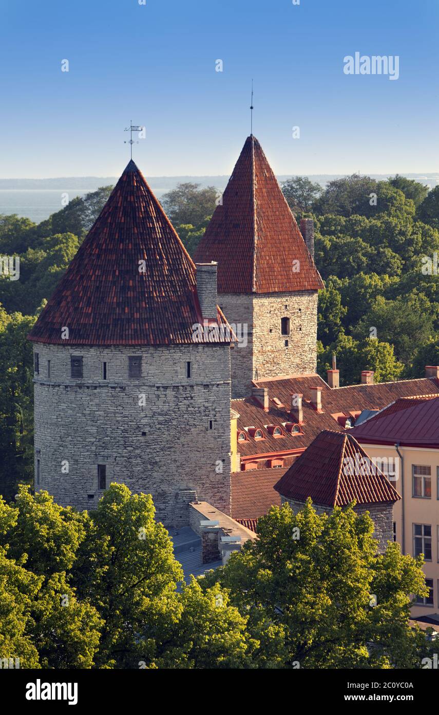 Turm einer Stadtmauer. Altstadt. Tallinn, Estland Stockfoto