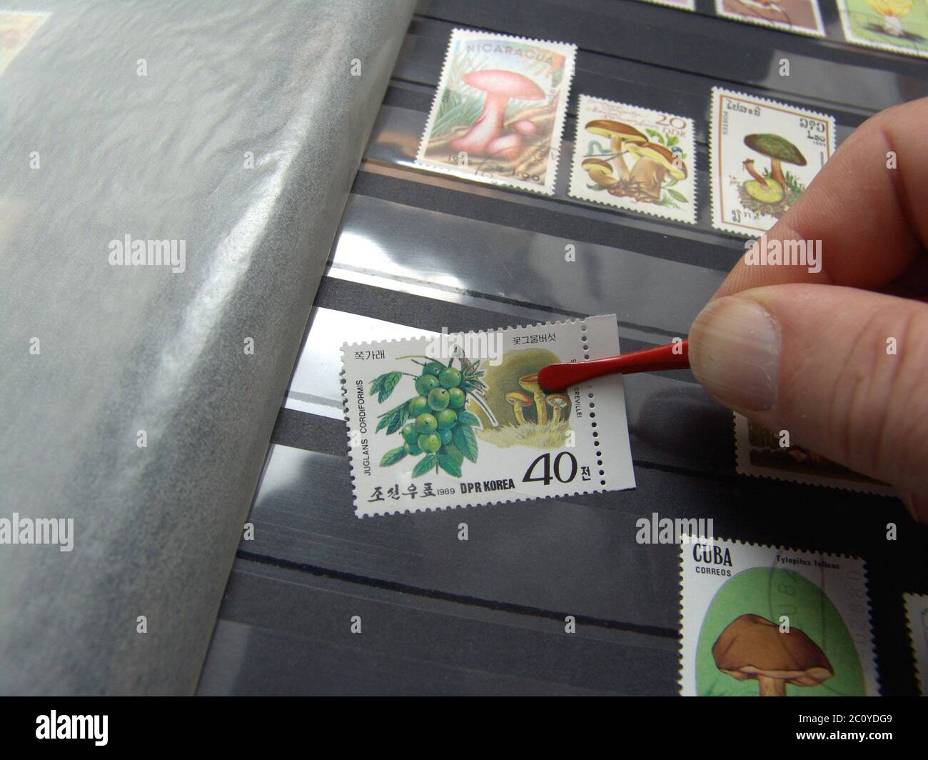Um Briefmarken zu sammeln Stockfoto