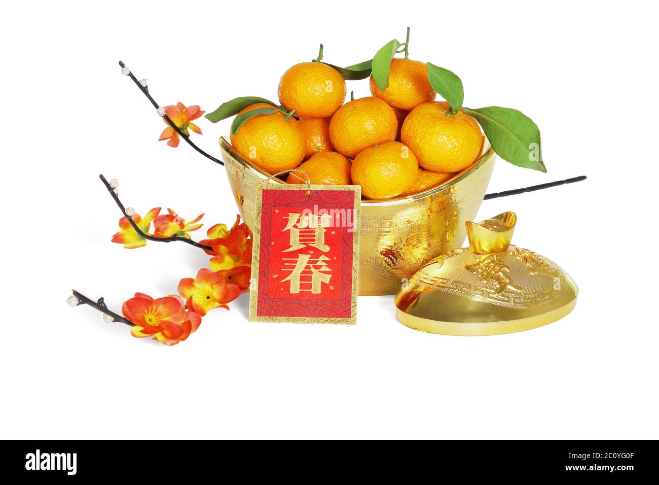 Mandarin Orangen in Gold Ingot Container mit Pflaumenblüte für chinesische Neujahrsdekoration - Übersetzung ' Happy Spring Festival' Stockfoto