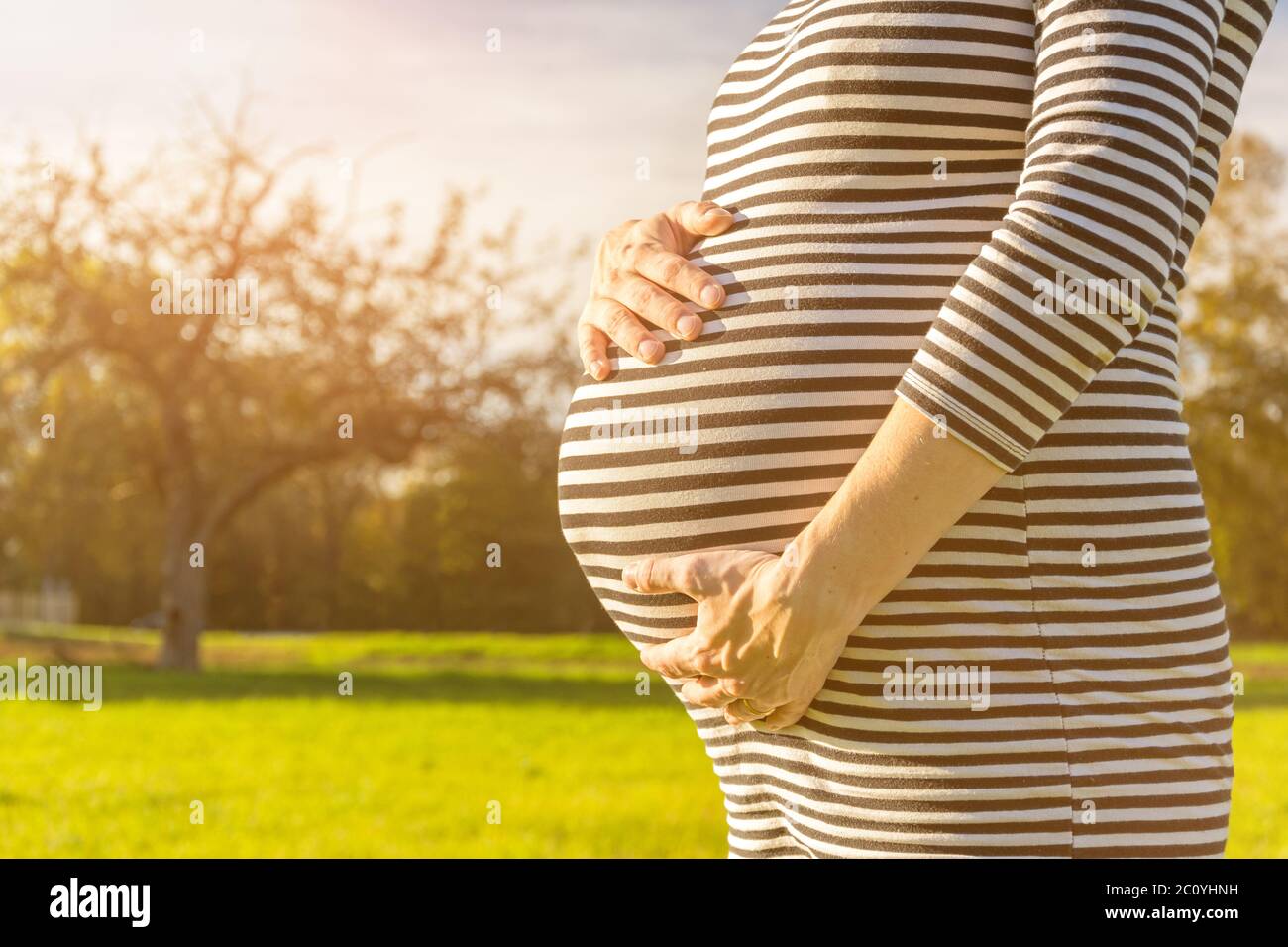Frau, die auf einer Wiese steht und ihren schwangeren Bauch im malerischen Nachmittagslicht hält Stockfoto