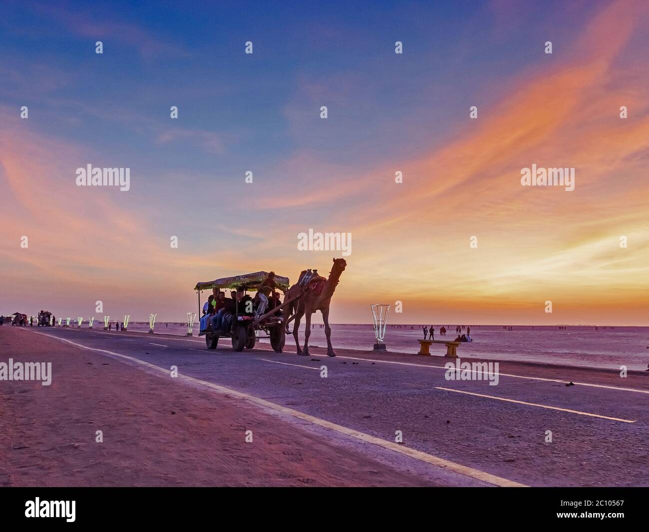 Dekorierte Kamelkarren während Rann utsav bei Greater Rann von Kutch, Gujarat, Indien Stockfoto