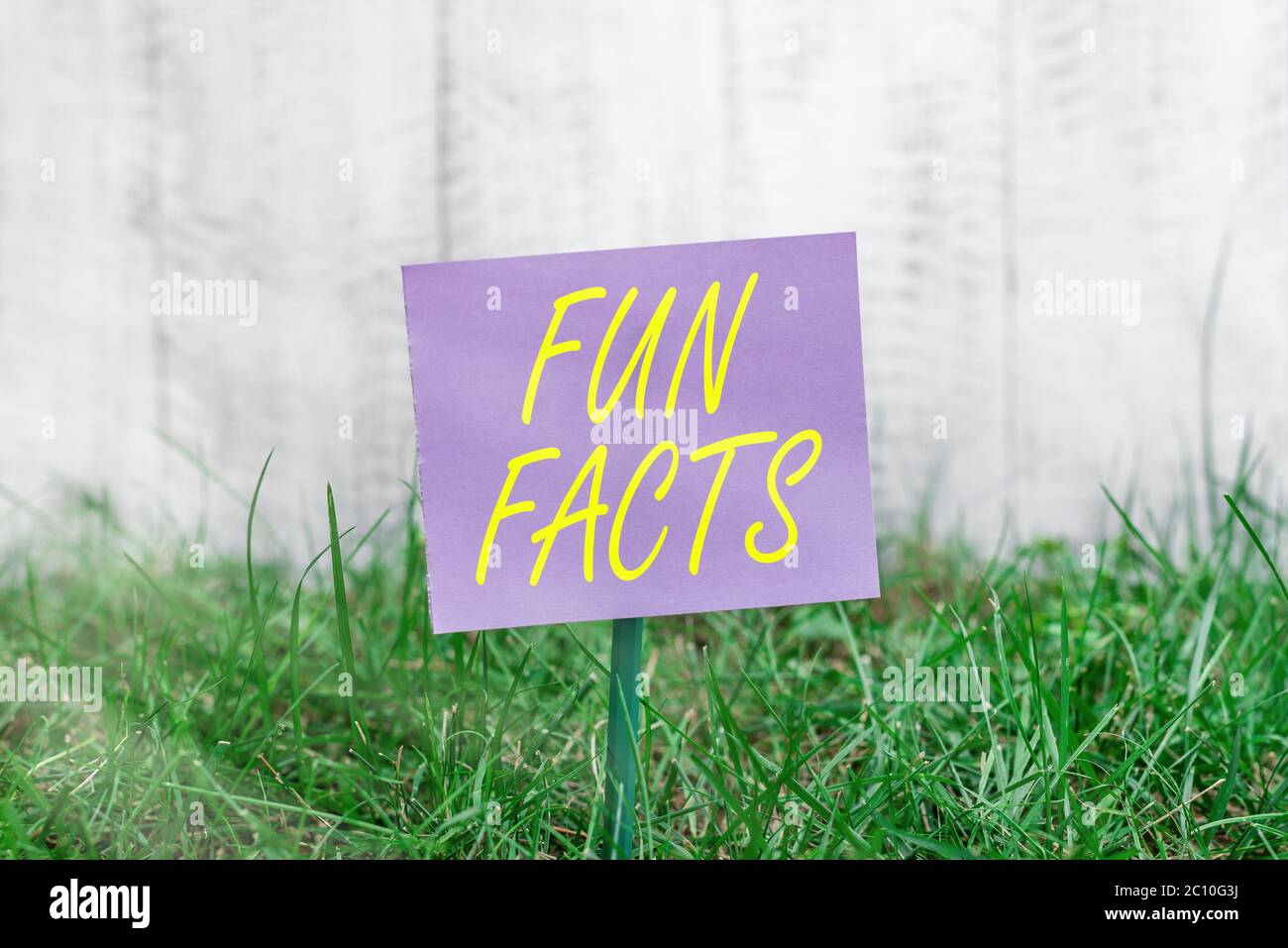 Schreiben von Notizen mit lustigen Fakten. Geschäftskonzept für kurze interessante Wissenswertes, die Informationen enthält einfaches Papier auf Stick und p angebracht Stockfoto