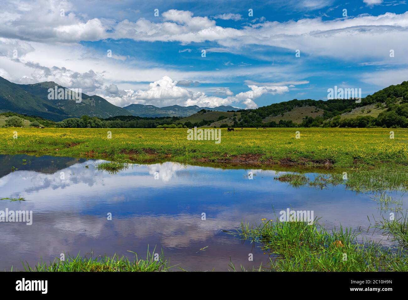 Teich in Pantano della Zittola Torfmoor. Montenero Valcocchiara, Region Molise, Italien, Europa Stockfoto