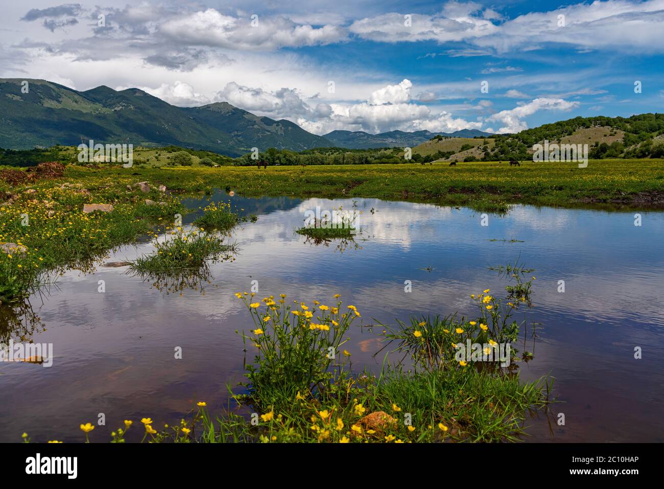 Teich in Pantano della Zittola Torfmoor. Montenero Valcocchiara, Region Molise, Italien, Europa Stockfoto