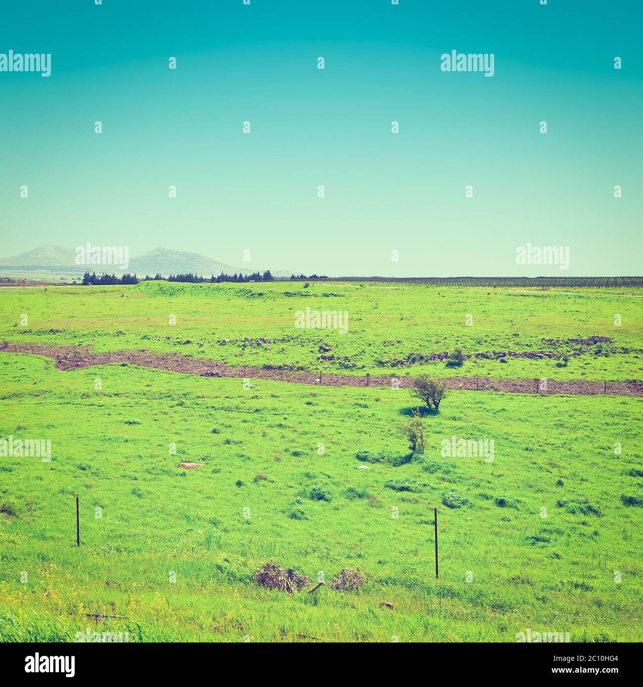 Golan-Höhen Stockfoto