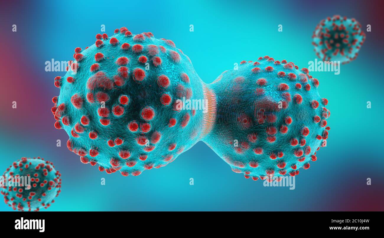 3D-Darstellung einer Krebszelle im Prozess der Mitose Stockfoto