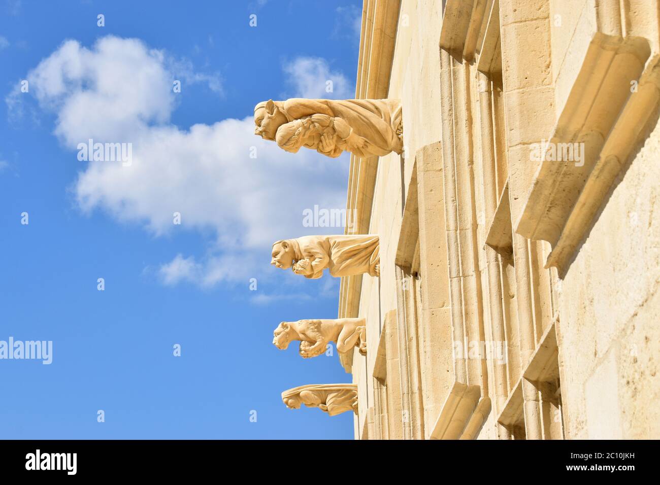 Gargoyles, Chateau de Grignan, Grignan, Drôme Provençale, Frankreich Stockfoto