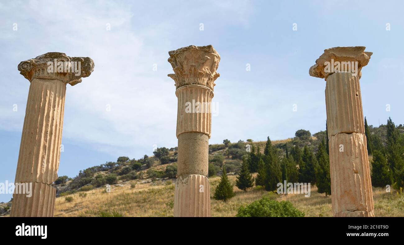 Antike Ruinen und bleibt in Ephesus in der Türkei Stockfoto