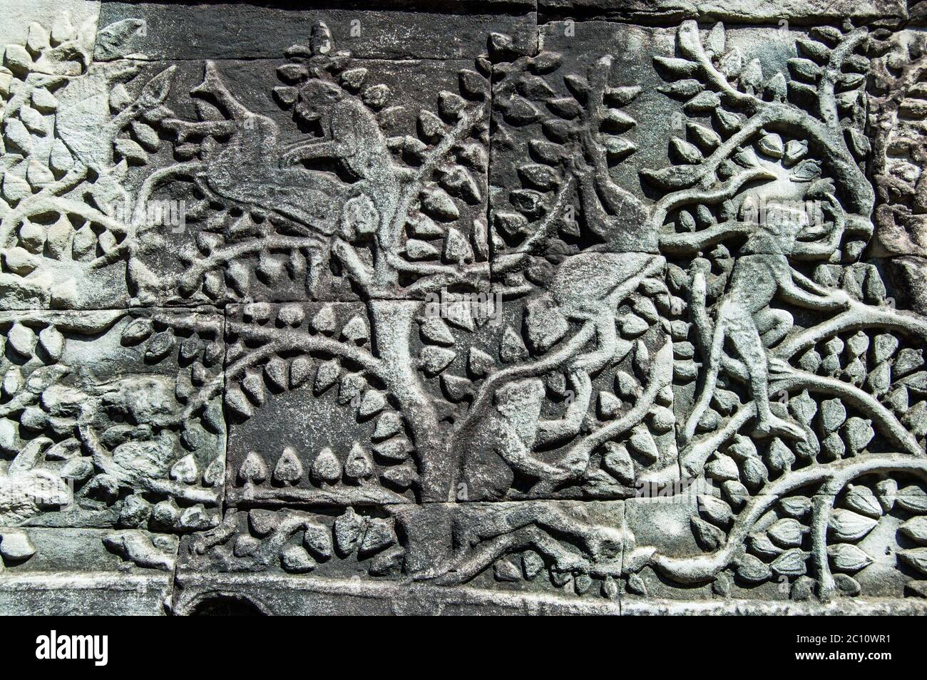 Altes Khmer Bas Relief, das Affen zeigt, die in den Zweigen eines Baumes spielen. Frieze auf der südlichen Galerie des Bayon-Tempels, Angkor Thom, Siem Reap, Cambod Stockfoto