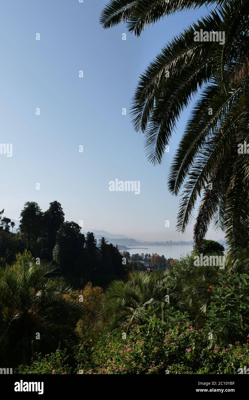 Schöne Aussicht auf Batumi (Georgien) vom botanischen Garten bei sonnigem Wetter. Ein Schild vor einer Palme undefiniert Stockfoto