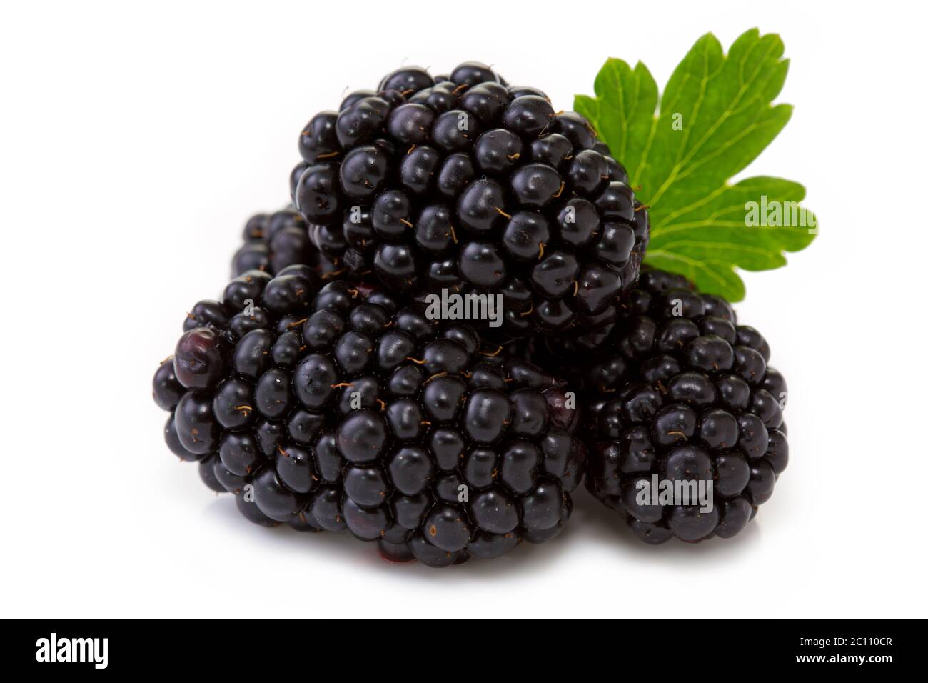 BlackBerry mit Blatt. Stockfoto