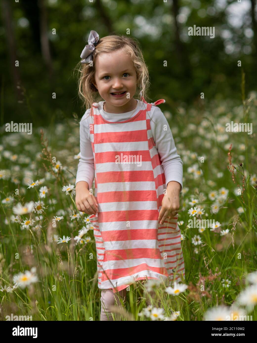 Kleines Mädchen im Feld der Hundedaisies, Pre-School-Mädchen zu Fuß in Ochsenauge Gänseblümchen Feld, 4 Jahre altes Mädchen im Feld der großen Gänseblümchen Stockfoto