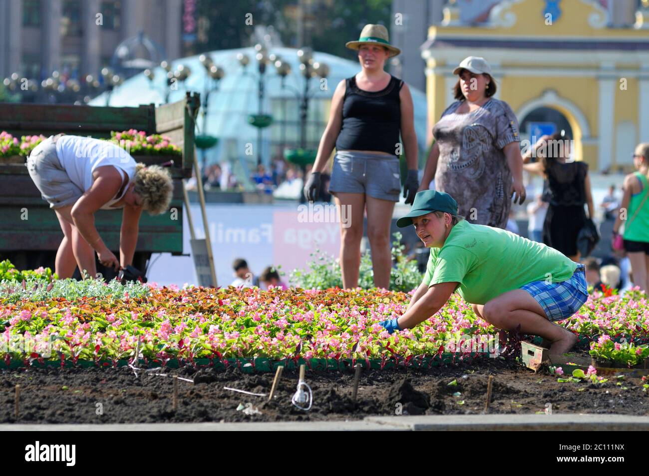 Frauen, die auf einem Blumenbett für Blumen sorgen. 21. Juni 2019. Kiew, Ukraine Stockfoto
