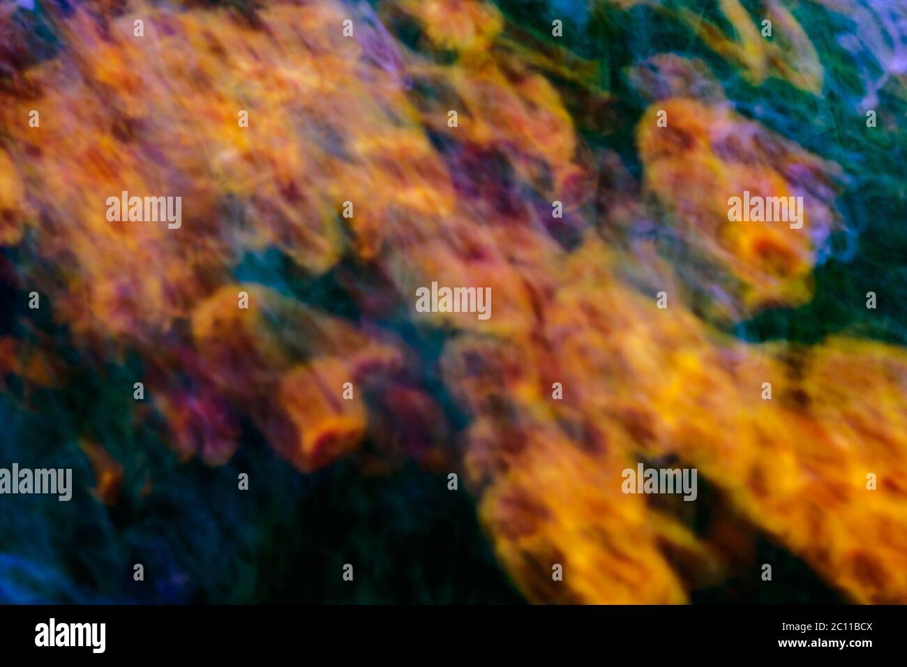 Abstract von verschwommenen Blumen bei langer Belichtung fotografiert. Stockfoto