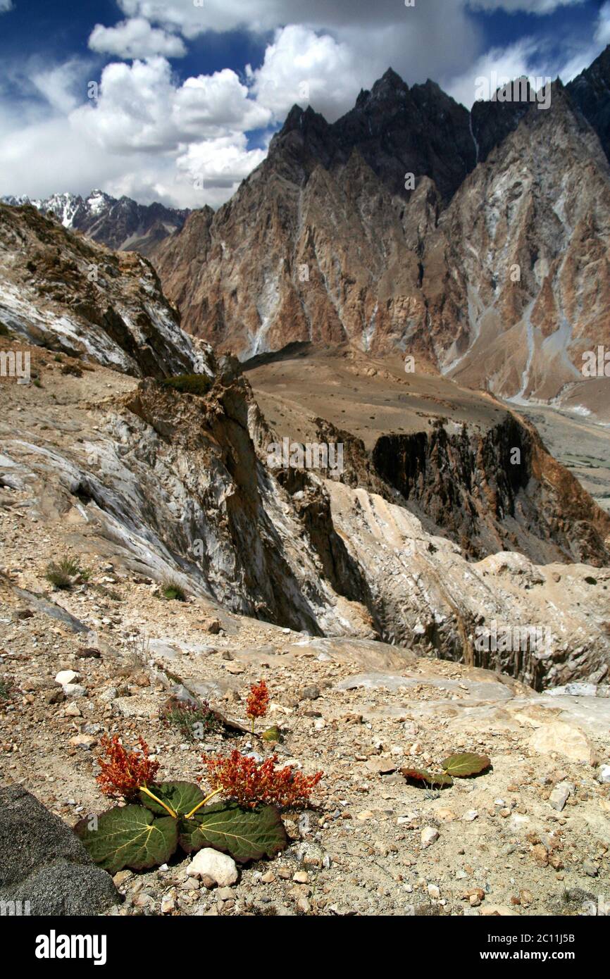 Atemberaubende Karakorum Berge Stockfoto