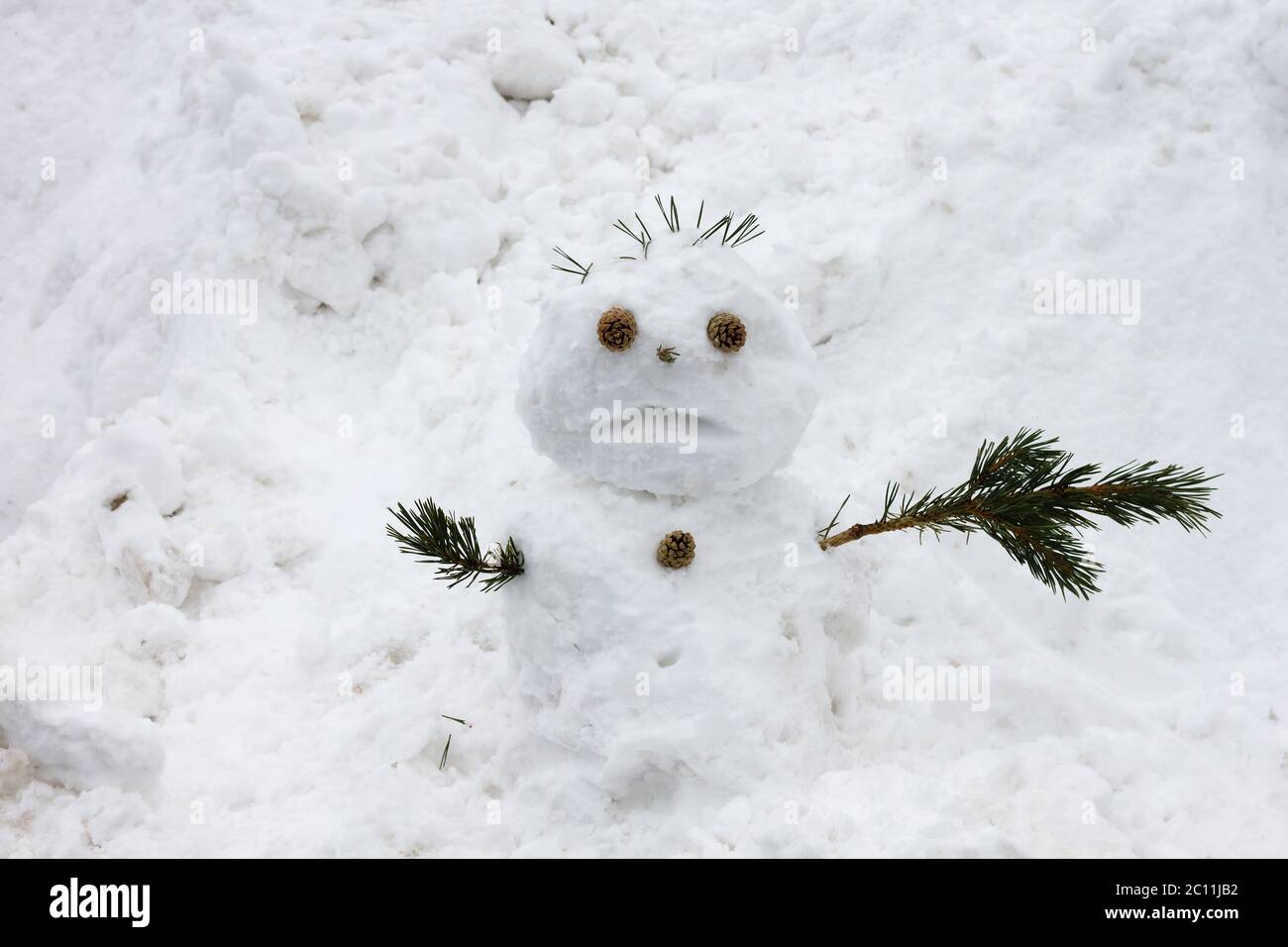 Schneemann mit Verwirrung Gesicht Stockfoto