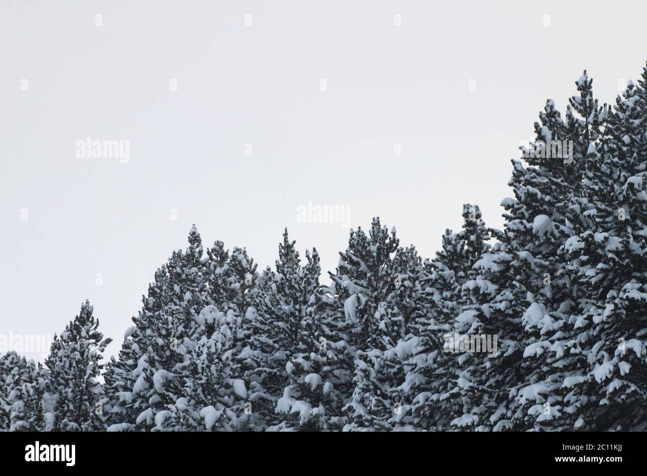 Verschneite Winterlandschaft Stockfoto