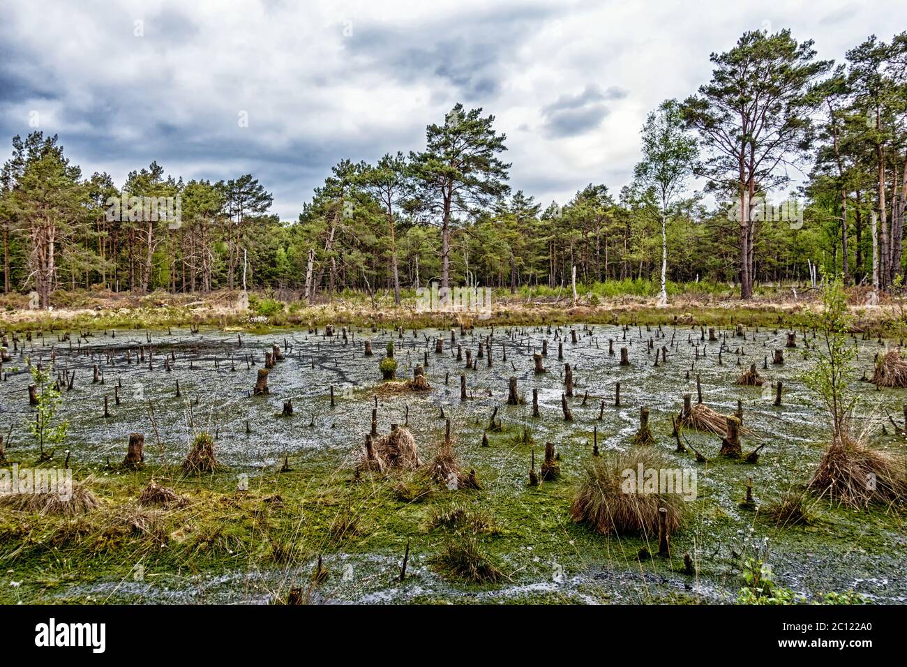 Landschaft im Naturschutzgebiet 'großes und Weißes Moor' in