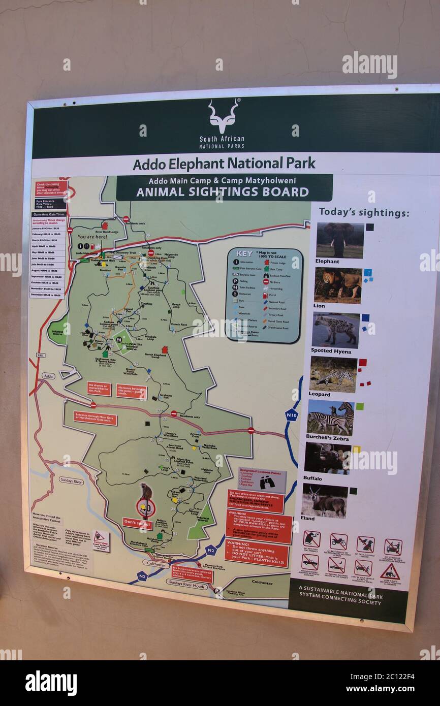 Addo Elephant Park, Südafrika: Informationstafel über die Sichtungen von Wildtieren des Tages im Addo Elephant National Park. Afrika. Stockfoto