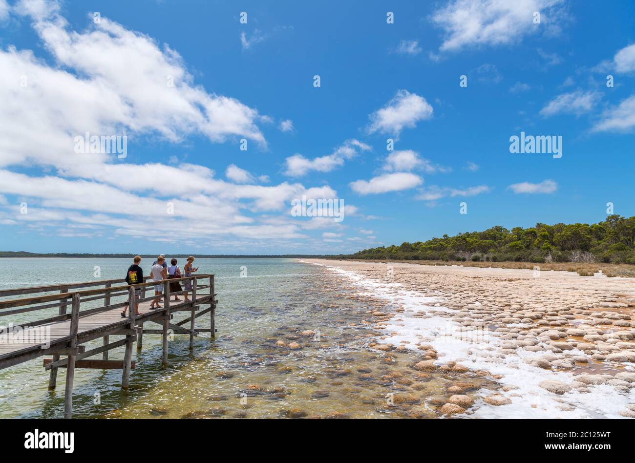 Besucher, die die Thromboliten, Lake Clifton, Yalgorup National Park, Western Australia, Australien, betrachten Stockfoto