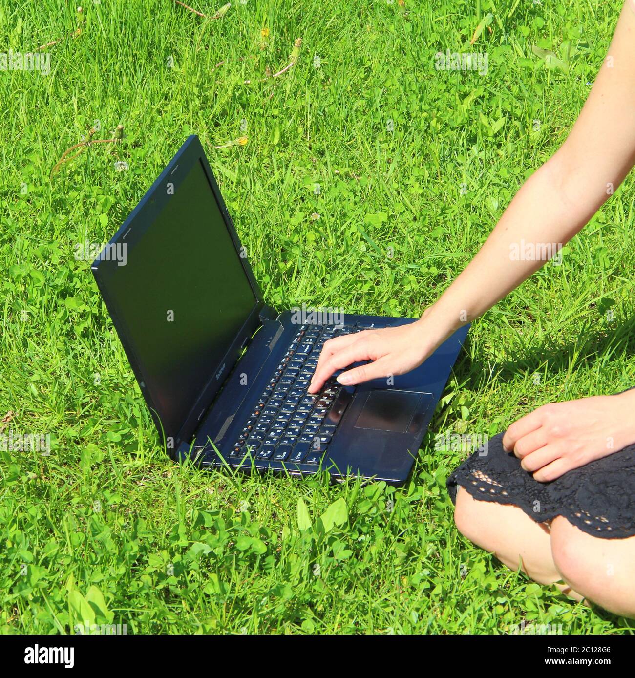 Der Laptop ist auf dem grünen Gras, das Mädchen arbeitet am Computer auf dem Rasen. Die Hand des Mannes ist auf der Tastatur. Stockfoto
