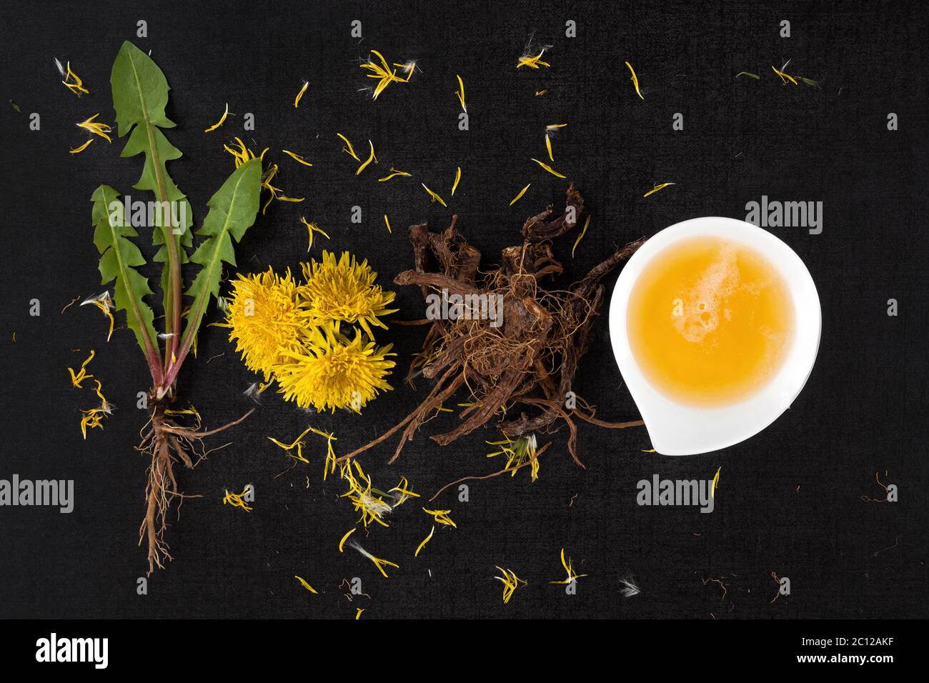 Löwenzahn Hintergrund, pflanzliche Heilmittel. Stockfoto