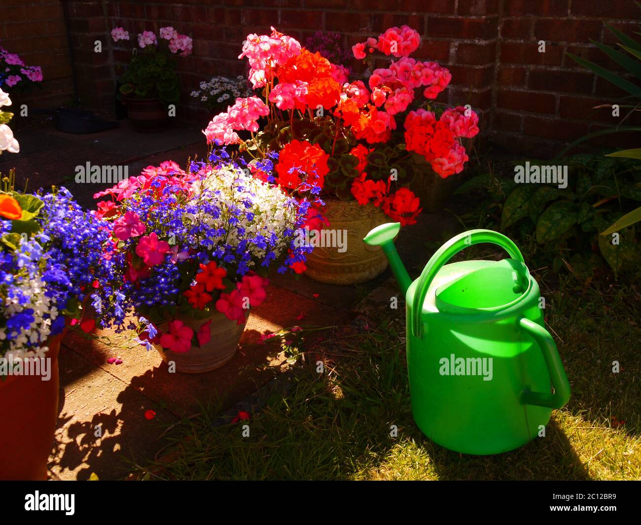 Gartenarbeit / Topfpflanzen Stockfoto