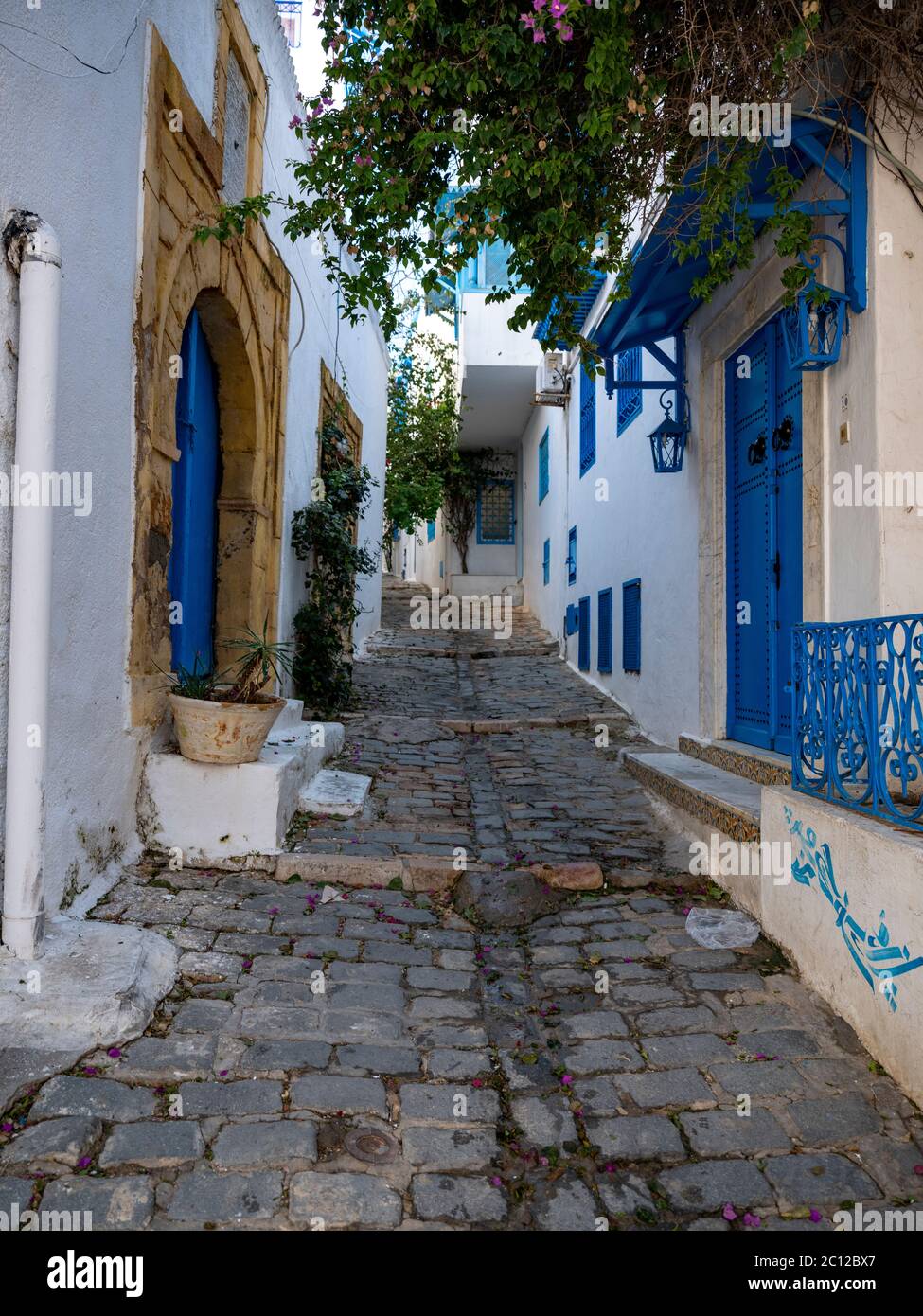 Straßenszene im Dorf Sidi bou Said, Tunesien, bekannt für seine traditionelle Verwendung von blauen und weißen Farben auf den Fassaden von Gebäuden. Stockfoto