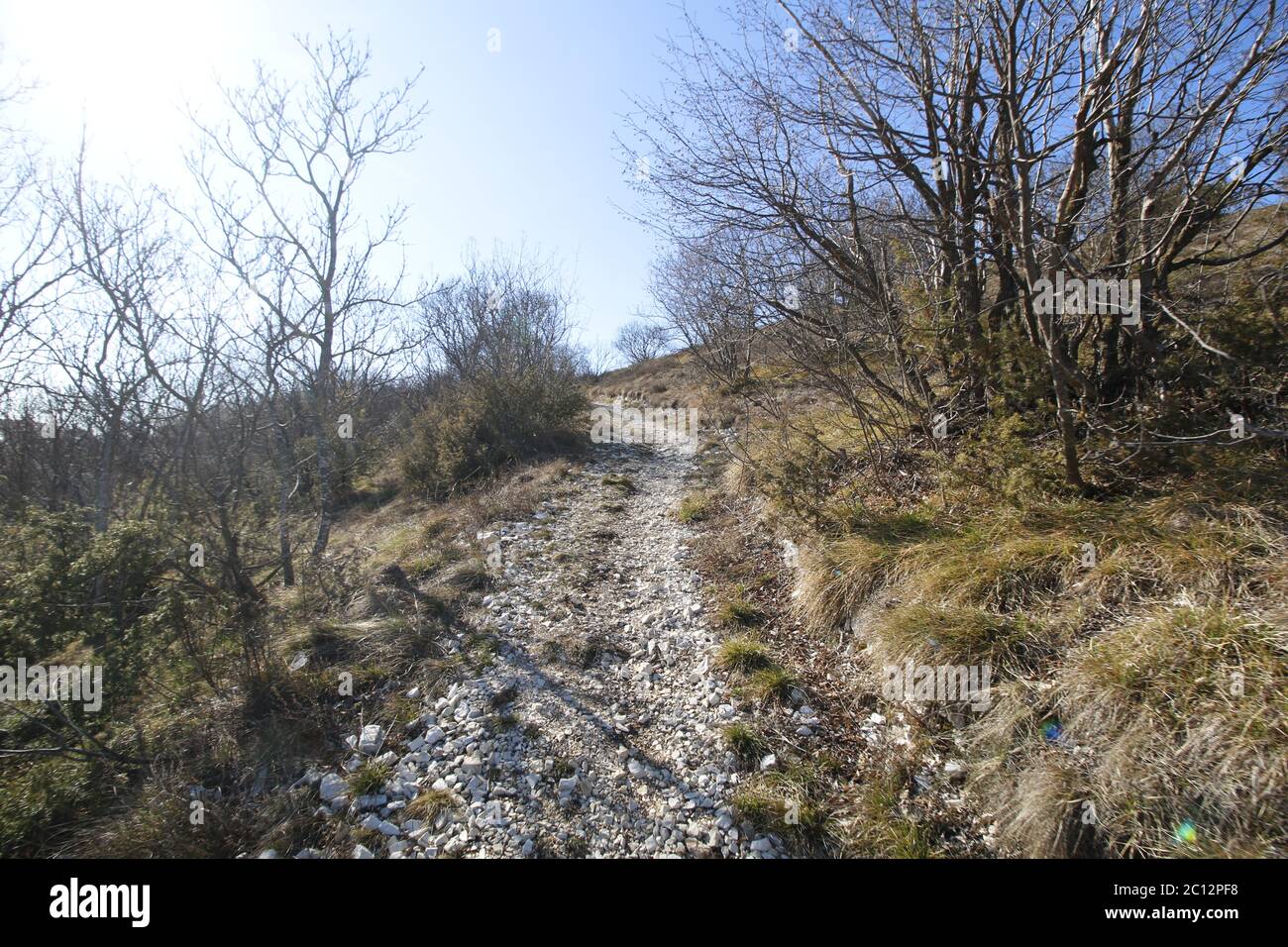 Erkundungspfad in der Natur in den Bergen Stockfoto