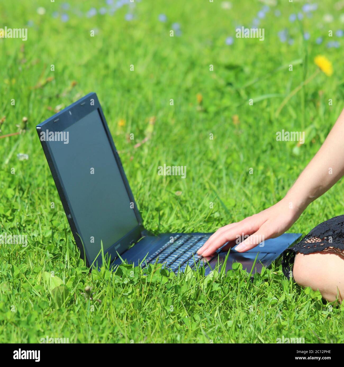 Der Laptop ist auf dem grünen Gras, das Mädchen arbeitet am Computer auf dem Rasen. Die Hand des Mannes ist auf der Tastatur. Stockfoto