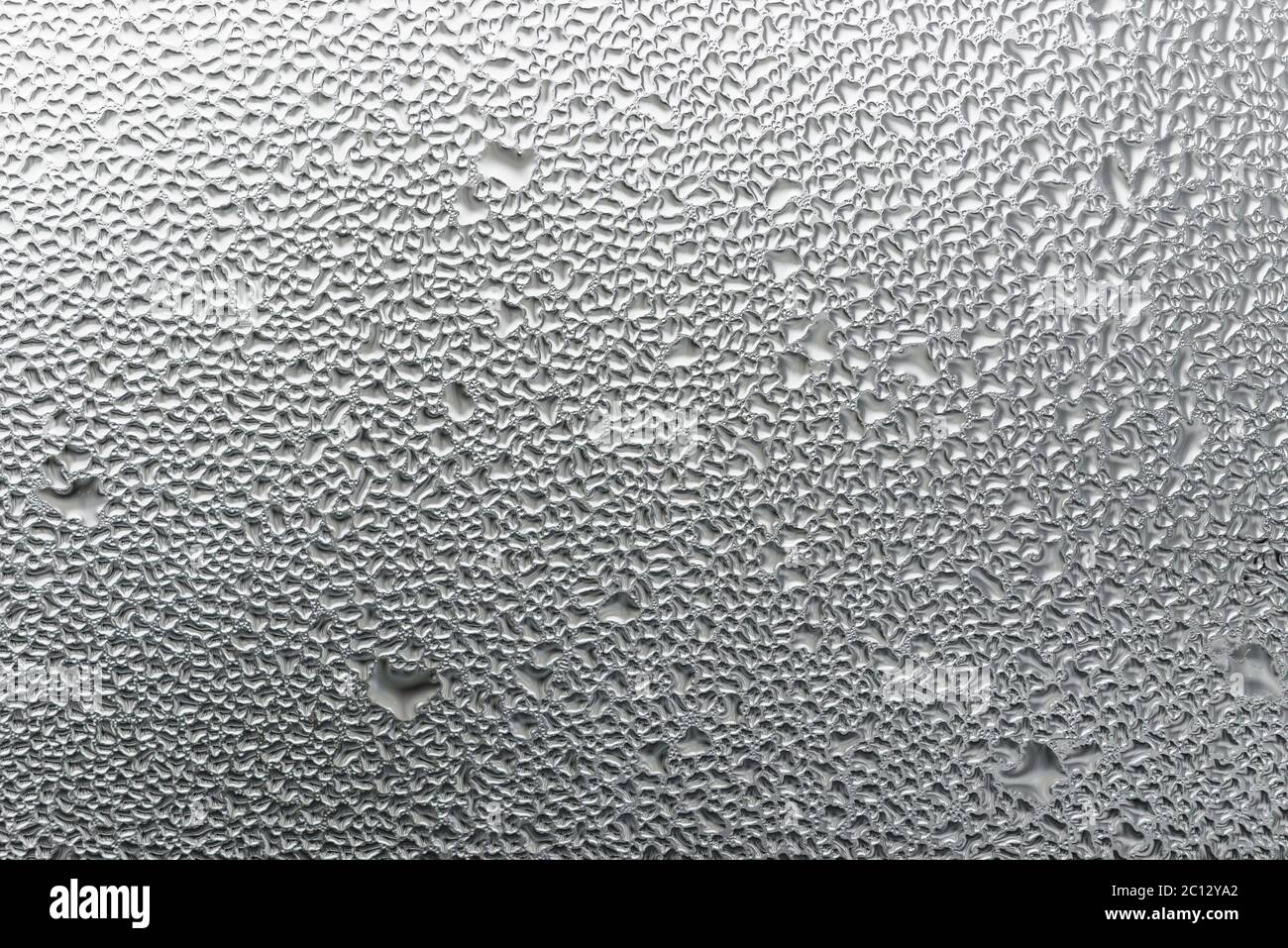 Makrofotografie Wasser Tropfen auf Glasfenster weißen Hintergrund nach dem Regen. Stockfoto