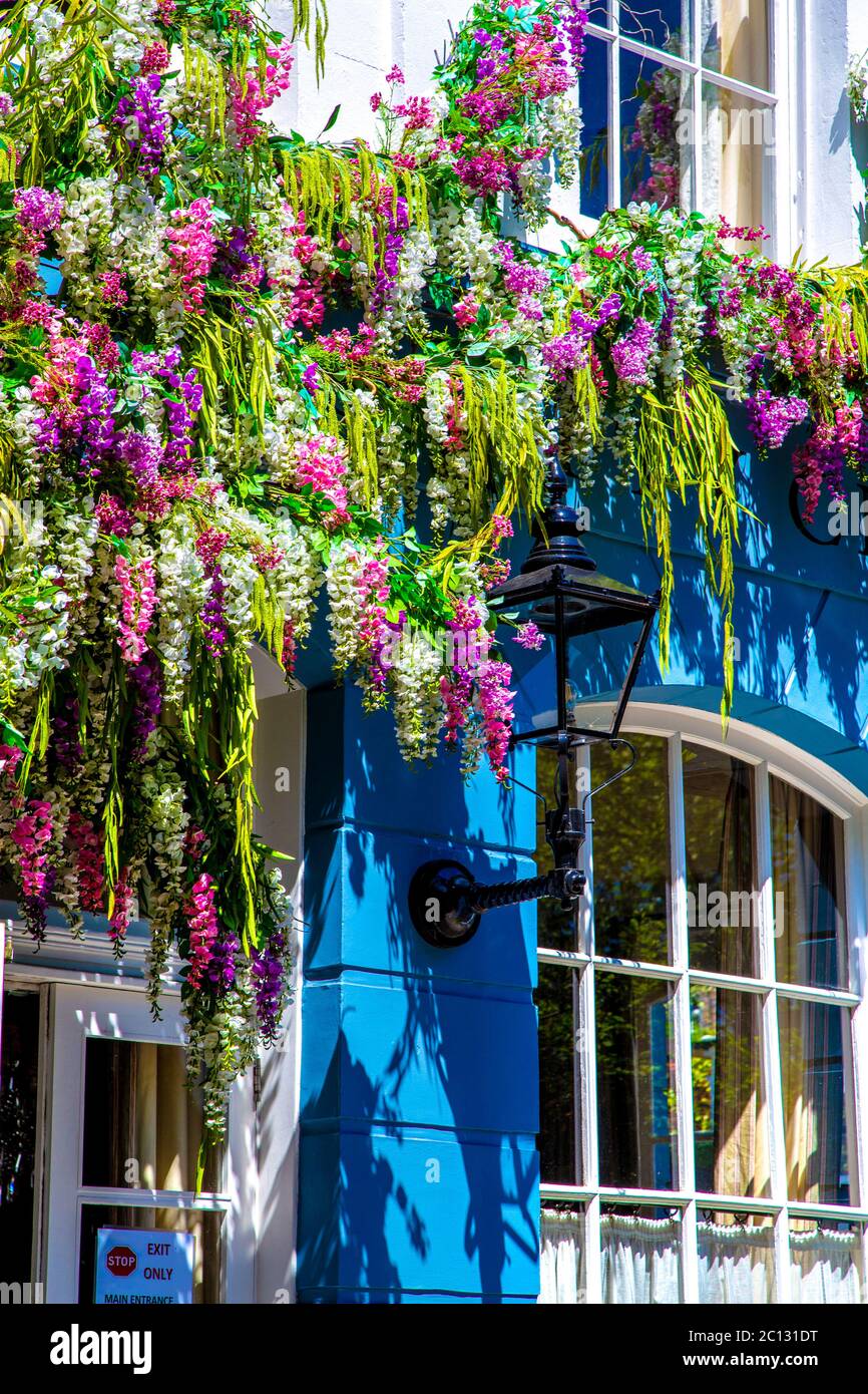 Außenansicht des Restaurants No. Fifty Cheyne, mit Glyzinien übersät, Chelsea, London, Großbritannien Stockfoto