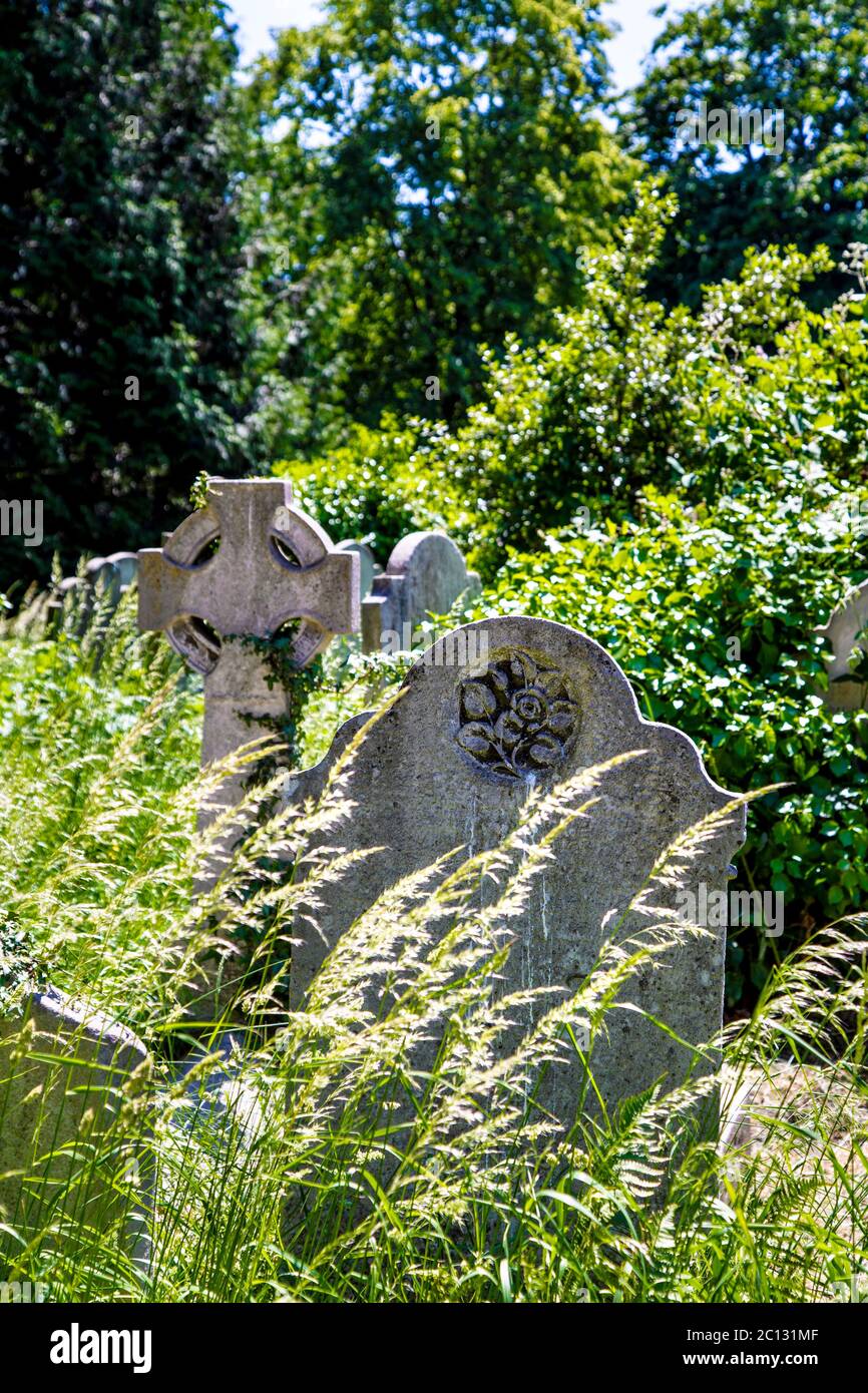 Brompton cemetery Fotos und Bildmaterial in hoher Auflösung Alamy