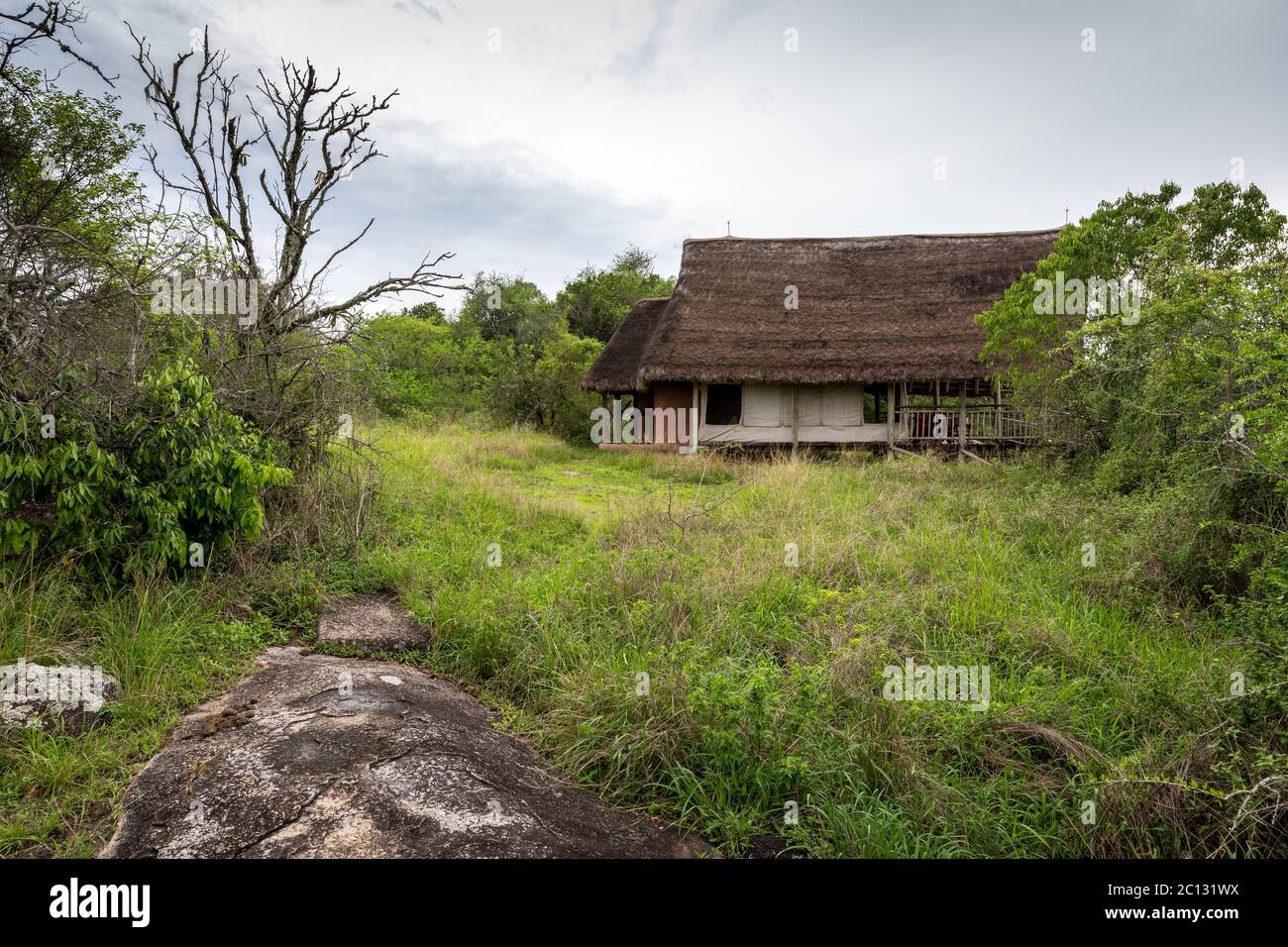 Eine reetgedeckte Gästehütte im luxuriösen Boutique-Hotel Mihingo Lodge im Lake Mburo National Park Uganda Stockfoto