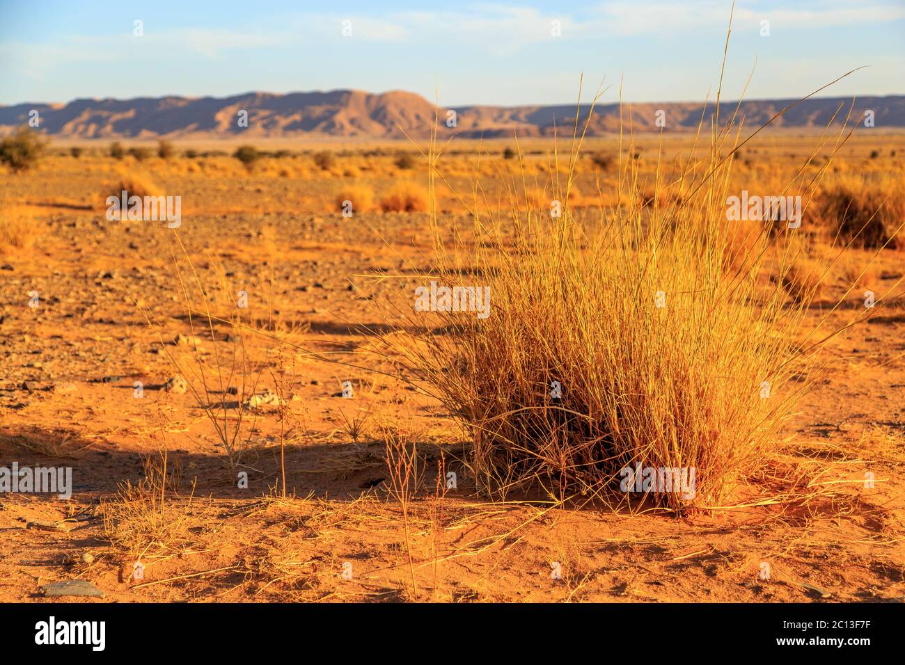 Schönen marokkanischen Berglandschaft mit Trockene Sträucher im Vordergrund Stockfoto